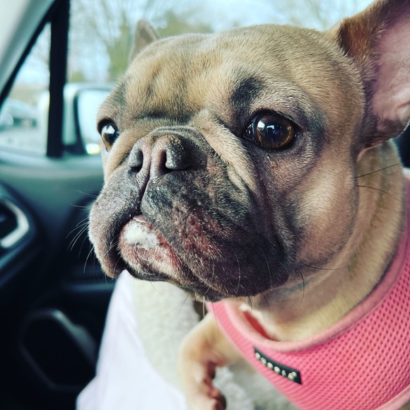 Meet your Posher, Kristi - Picture 7 of 17